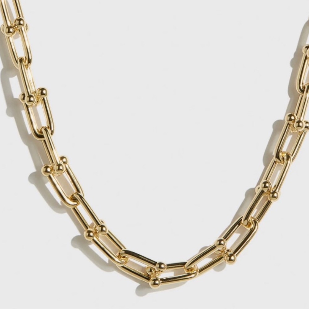DRAE U link necklace  NWT
